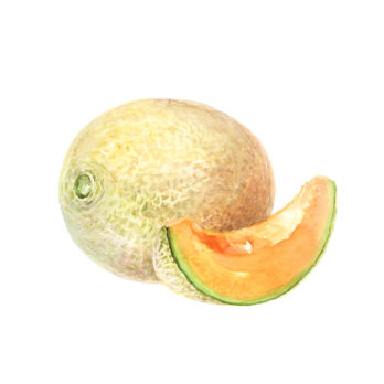 Melon français
